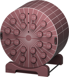 Advanced Electron Density Phantom