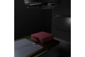 Constancy Check in use
